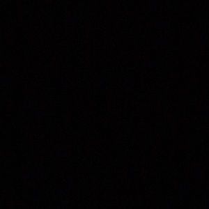 Meet your Posher, Nellie